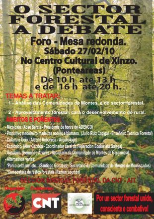 FORO-MESA REDONDA: O SECTOR FORESTAL A DEBATE