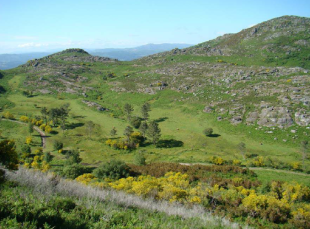 Zona afectada, coñecida como Prado de Arriba, no Coto da Eira