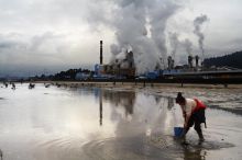 A contaminación das rías aumentou nos últimos 20 anos / Foto: Manuel Boo