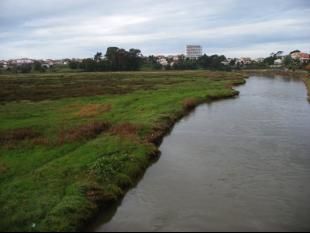 A Xunqueira do Lagares (Vigo) sofre verquidos contaminantes que se repiten de xeito frecuente