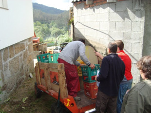 Preparando o festival: traslado das caixas que fan de patas de banco