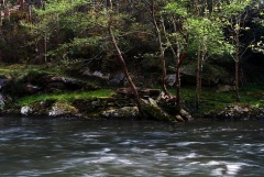 O Río Eo ao seu paso por San Tirso de Abres / Foto: DavidGorgojo